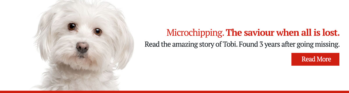 Tobis Story, Microchipping