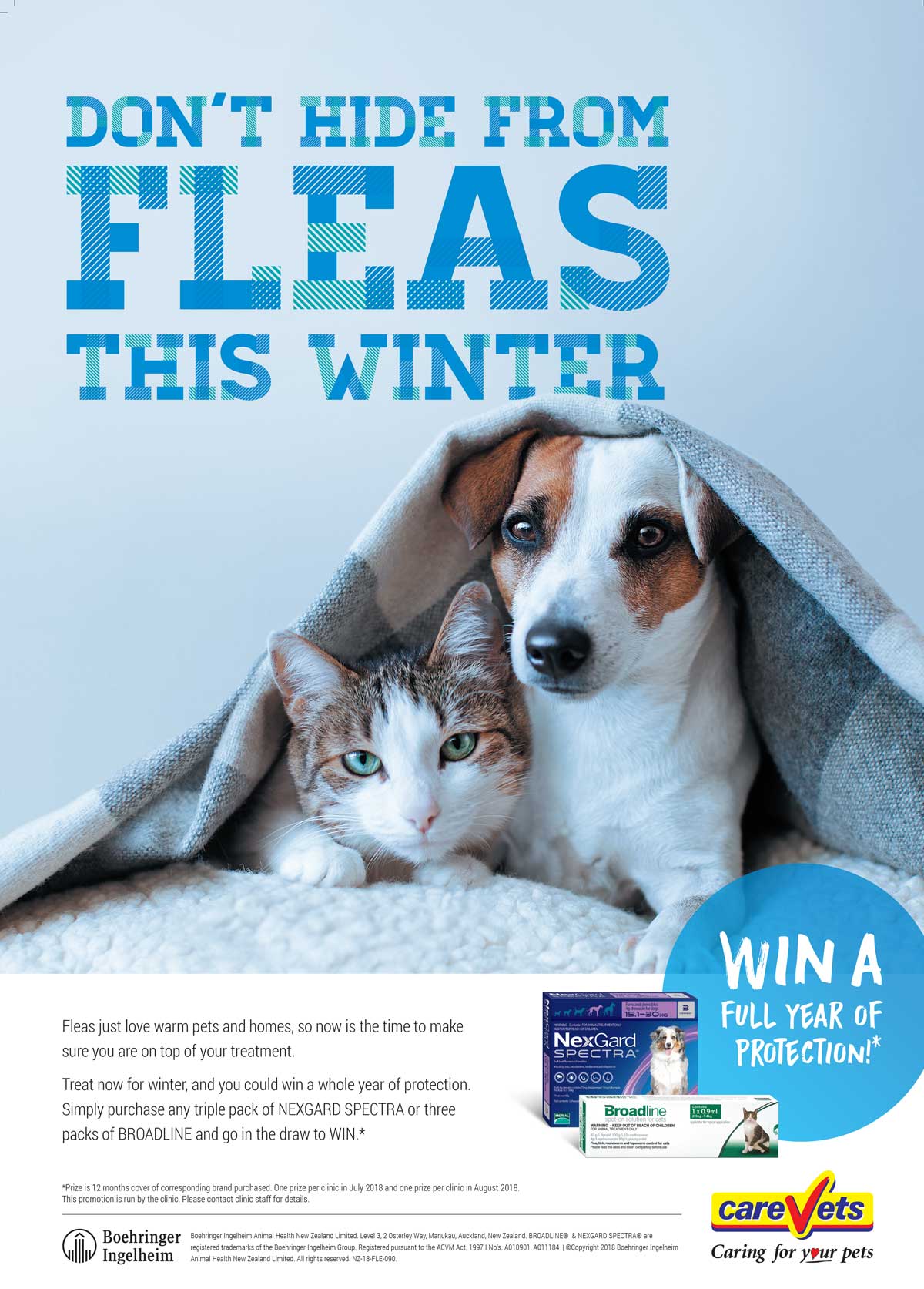 Don't Hide From Fleas This Winter