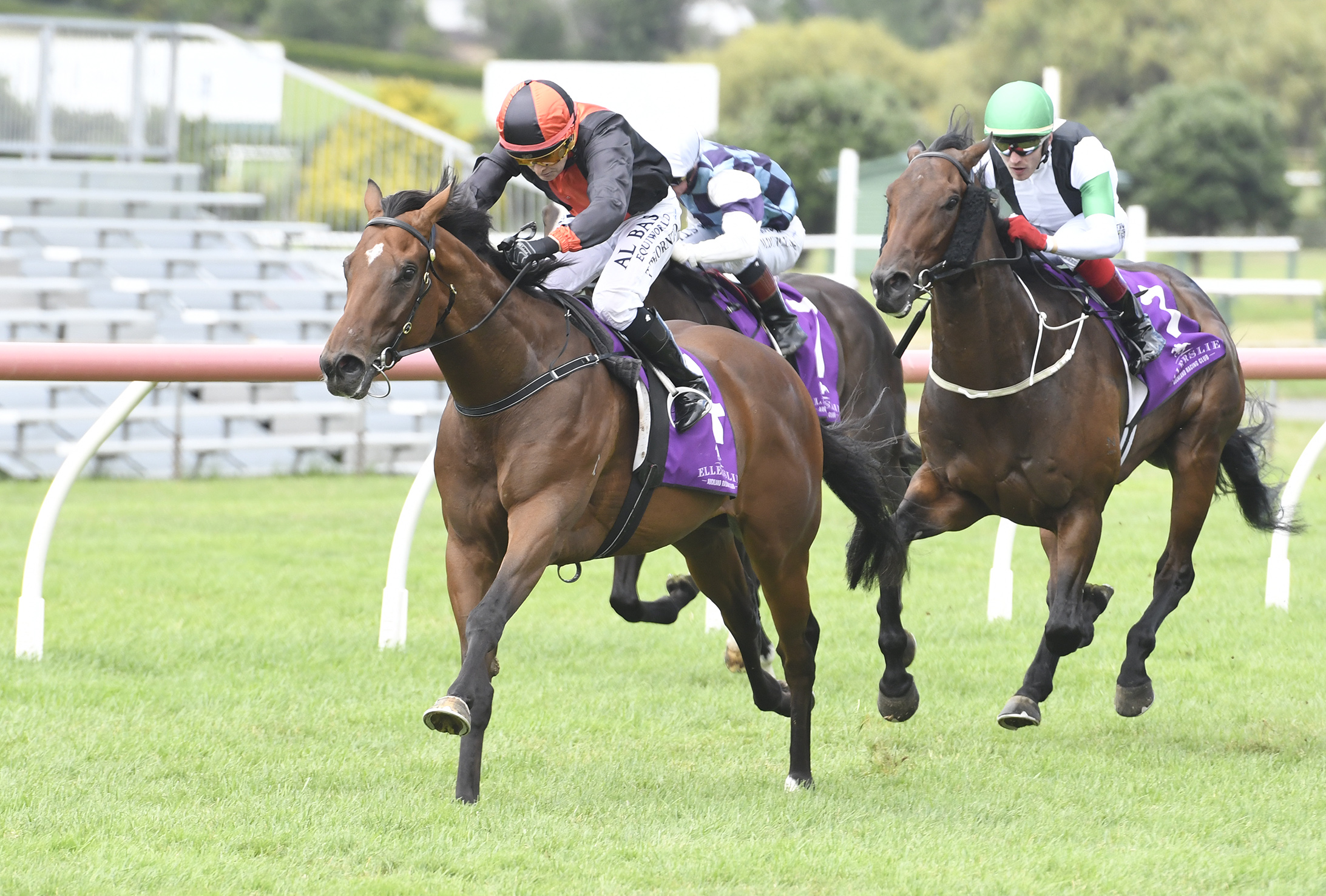 Race at Ellerslie