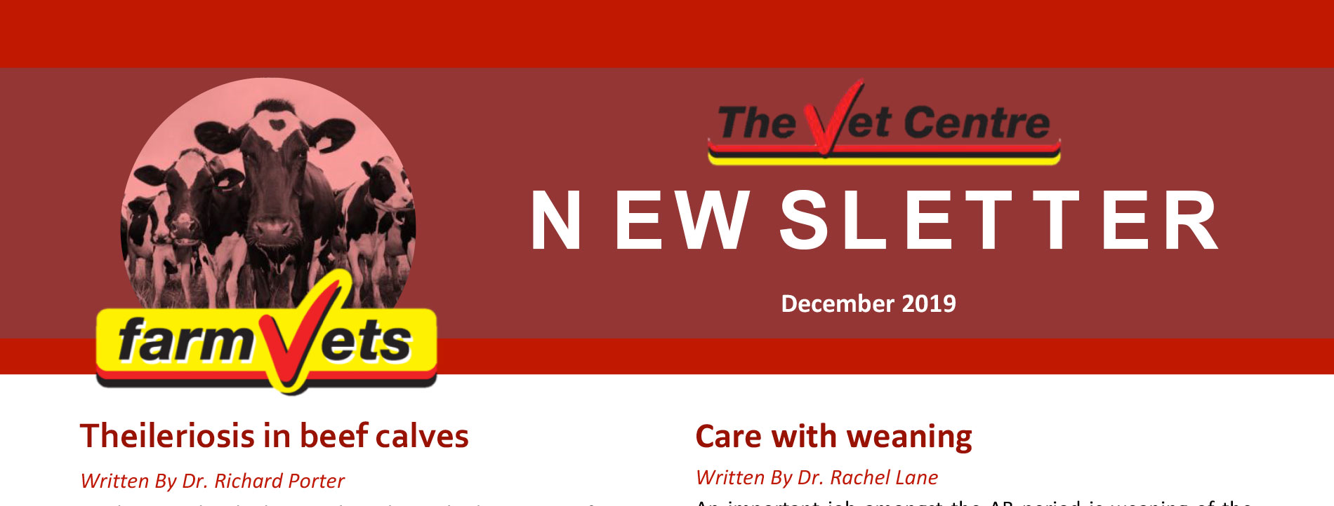 Newsletter December 2019